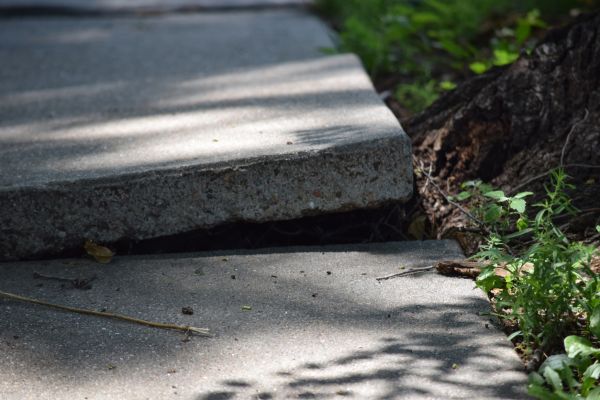 Cost of Sidewalk Leveling in Greeley