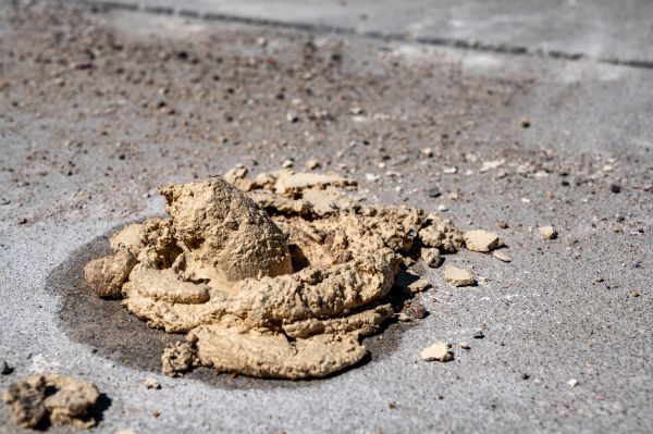 Cost of Driveway Slab Leveling in Greeley